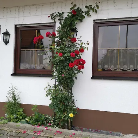 Frankenstube-winkelhaid *