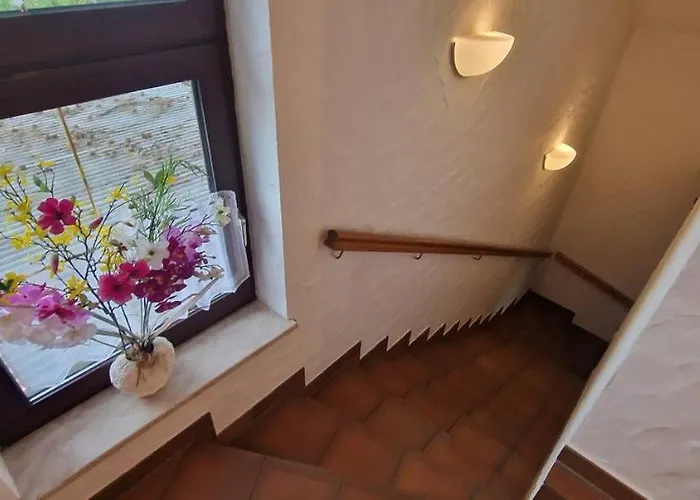 Frankenstube-winkelhaid * Winkelhaid