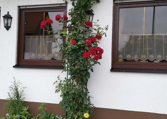 Frankenstube-winkelhaid *